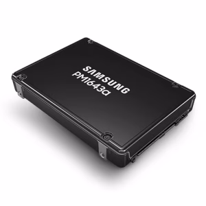 SAMSUNG PM1643a